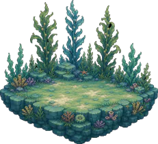 Kelp Forest Floor