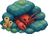 Shy Lobster