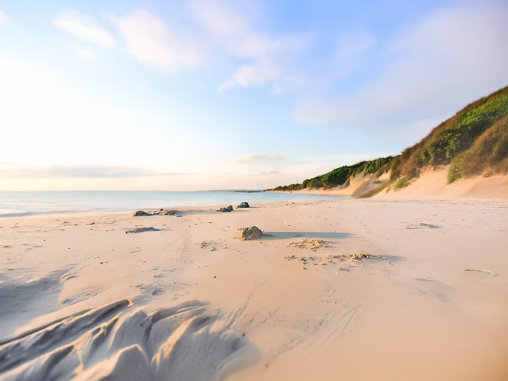 Sayayoga marketing site with Miyakojima scenery hero